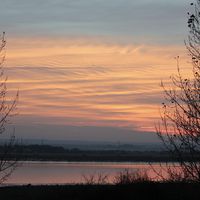 Levish's profile picture