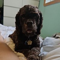 JadynL1425's profile picture