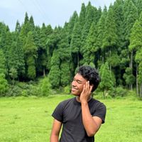 Ujjal's profile picture