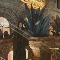 Classykay5's profile picture'