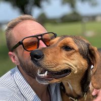 InsulaTergum's profile picture'