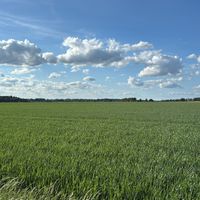 Antonbjuhr's profile picture